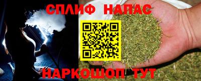 крисы Бузулук