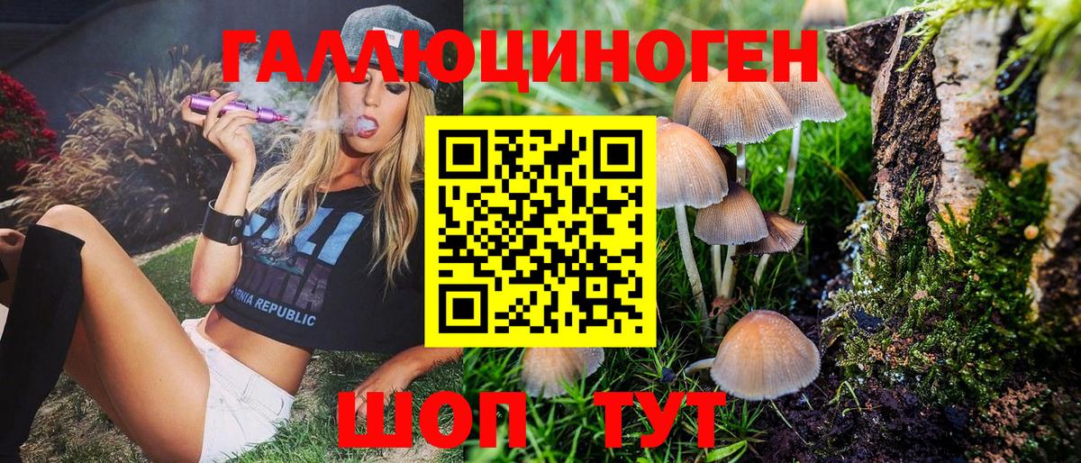 купить закладку  Вход с VPN  Соль-Илецк  Псилоцибиновые грибы MAGIC MUSHROOMS 