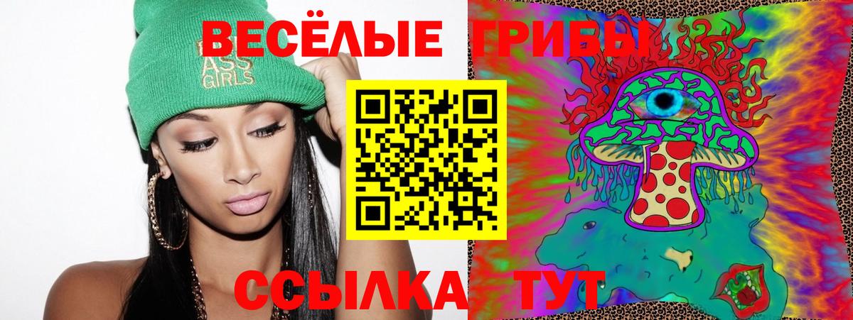 Псилоцибиновые грибы мухоморы Соль-Илецк